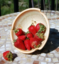 Berry Bowl Colander in Sunburst