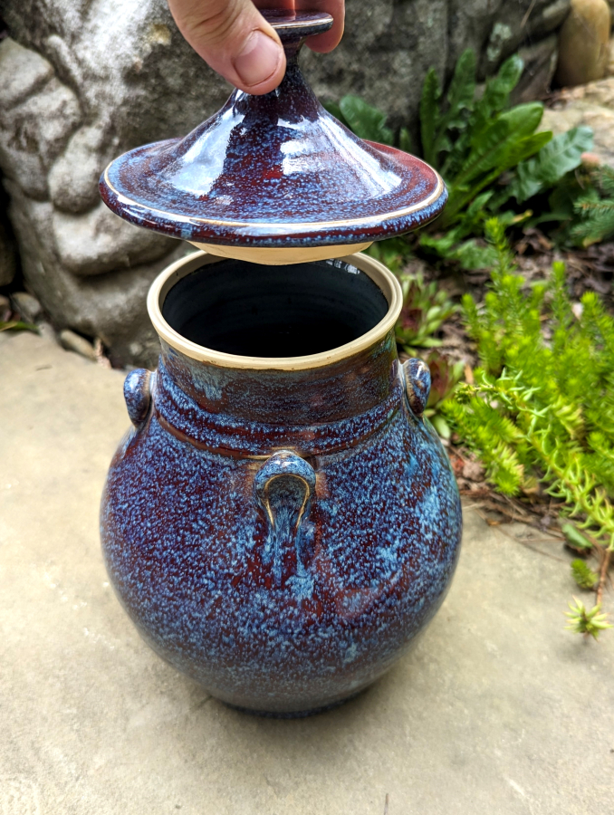 https://www.pagepottery.com/images/products/large_844_CoveredCosmosJar3.jpg