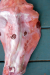 detail_485_DSC_0030-001.JPG