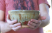 detail_287_BStoneServingBowl3.JPG