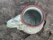 detail_939_RootedLichenMug1.jpg